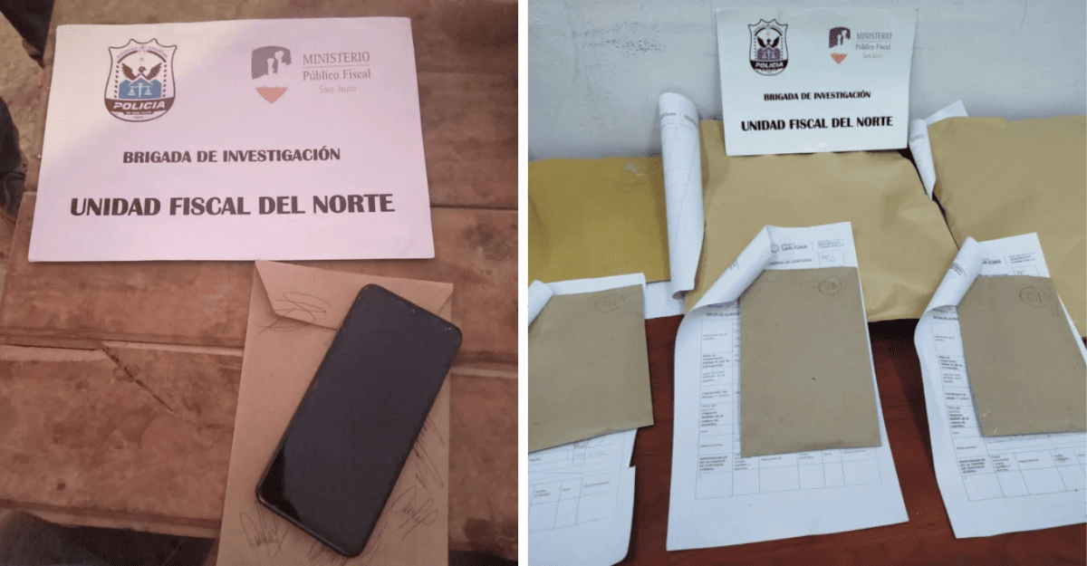 Tras el video viral, el Ministerio Público Fiscal investiga un ataque brutal a un puma Tras el video viral, el Ministerio Público Fiscal investiga un ataque brutal a un puma