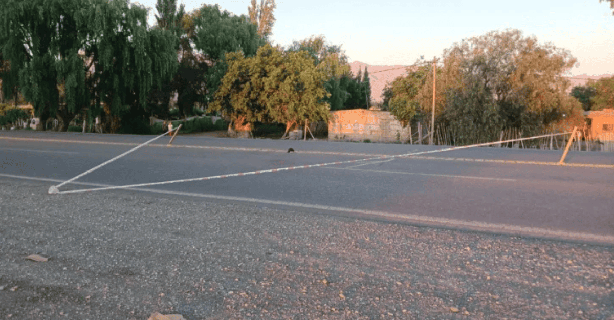 Asesinato en Pocito: mató a su vecino de una puñalada y fue detenido luego de huir Asesinato en Pocito: mató a su vecino de una puñalada y fue detenido luego de huir