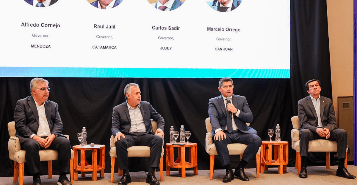 Orrego expuso en la cumbre latinoamericana de minerales críticos y destacó el potencial minero de San Juan