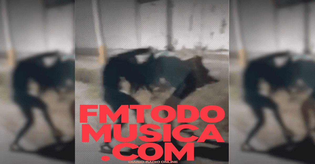 Violento ataque entre mujeres en Rawson dejó a una joven herida de gravedad. Violento ataque entre mujeres en Rawson dejó a una joven herida de gravedad.