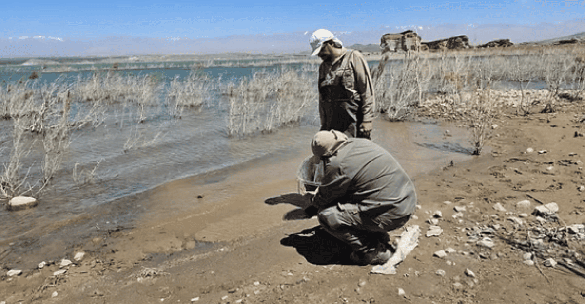 Ambiente envió a la UFI Jáchal informes que descartan contaminación en Cuesta del Viento Ambiente envió a la UFI Jáchal informes que descartan contaminación en Cuesta del Viento