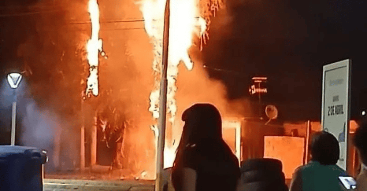 Rawson: una palmera se incendió en Villa San Damián durante la Noche de Navidad Rawson: una palmera se incendió en Villa San Damián durante la Noche de Navidad