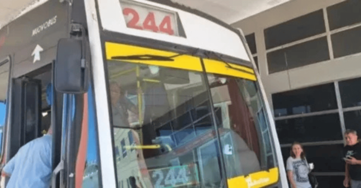Chofer sanjuanino de la linea 244 desvió su recorrido para salvar a un niño Chofer sanjuanino de la linea 244 desvió su recorrido para salvar a un niño