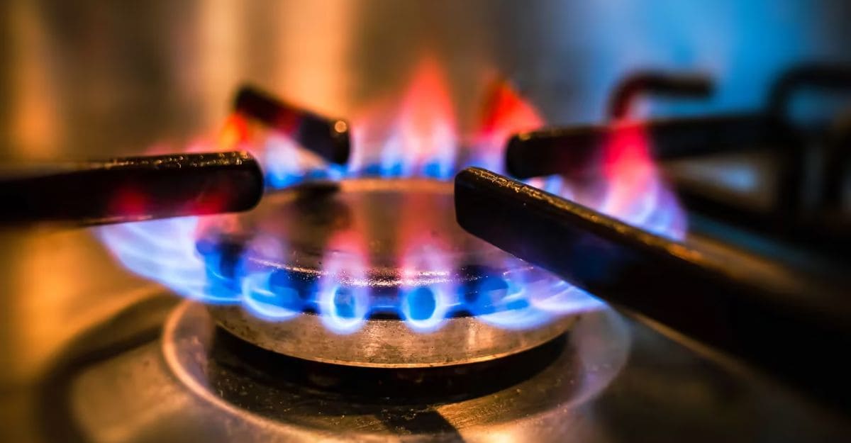 Zonas Frías sigue vigente: Diputados frenaron la quita del beneficio para usuarios de gas Zonas Frías sigue vigente: Diputados frenaron la quita del beneficio para usuarios de gas