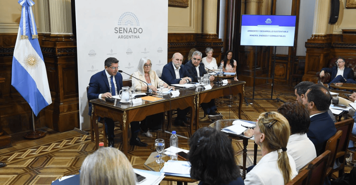 Orrego cerró el plenario de comisiones del Senado que analiza las aclaraciones a la Ley de Glaciares