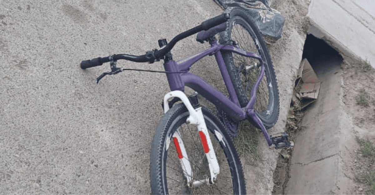 Robó una bicicleta en Albardón y fue detenido en Chimbas