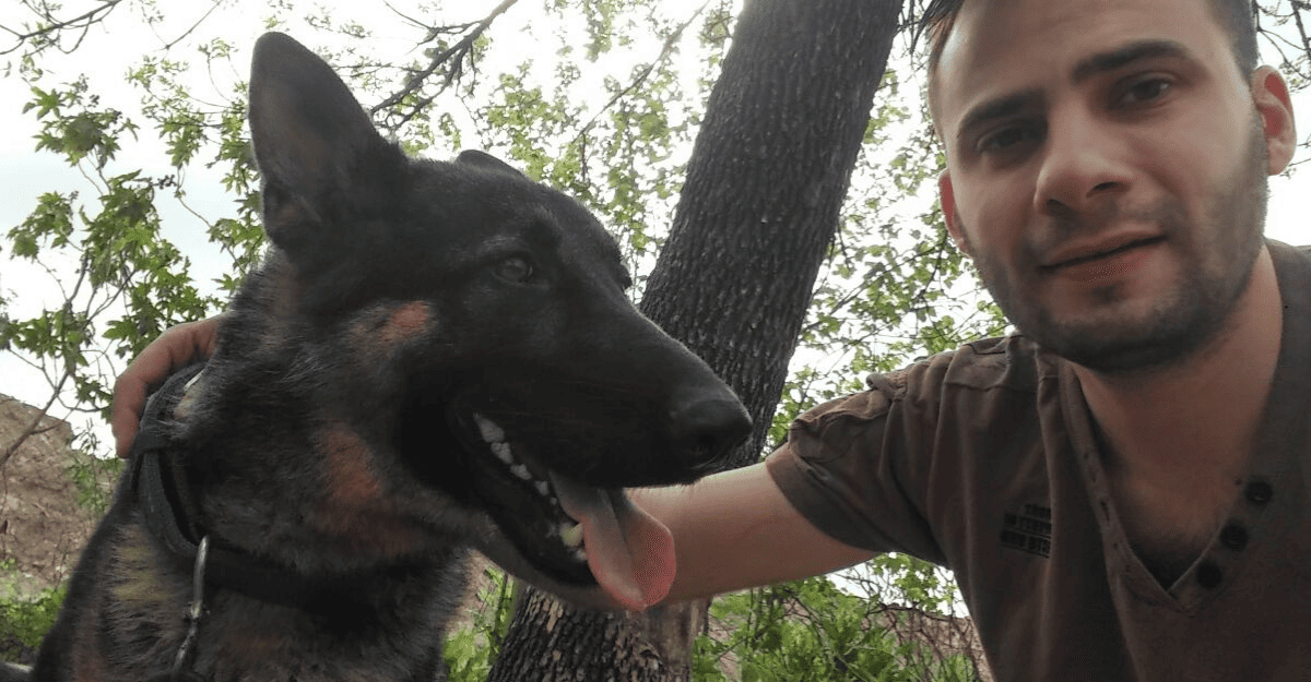 Kuma, el perro heroína de San Juan, se retira tras 9 años y más de 400 kilos de droga detectado Kuma, el perro heroína de San Juan, se retira tras 9 años y más de 400 kilos de droga detectado