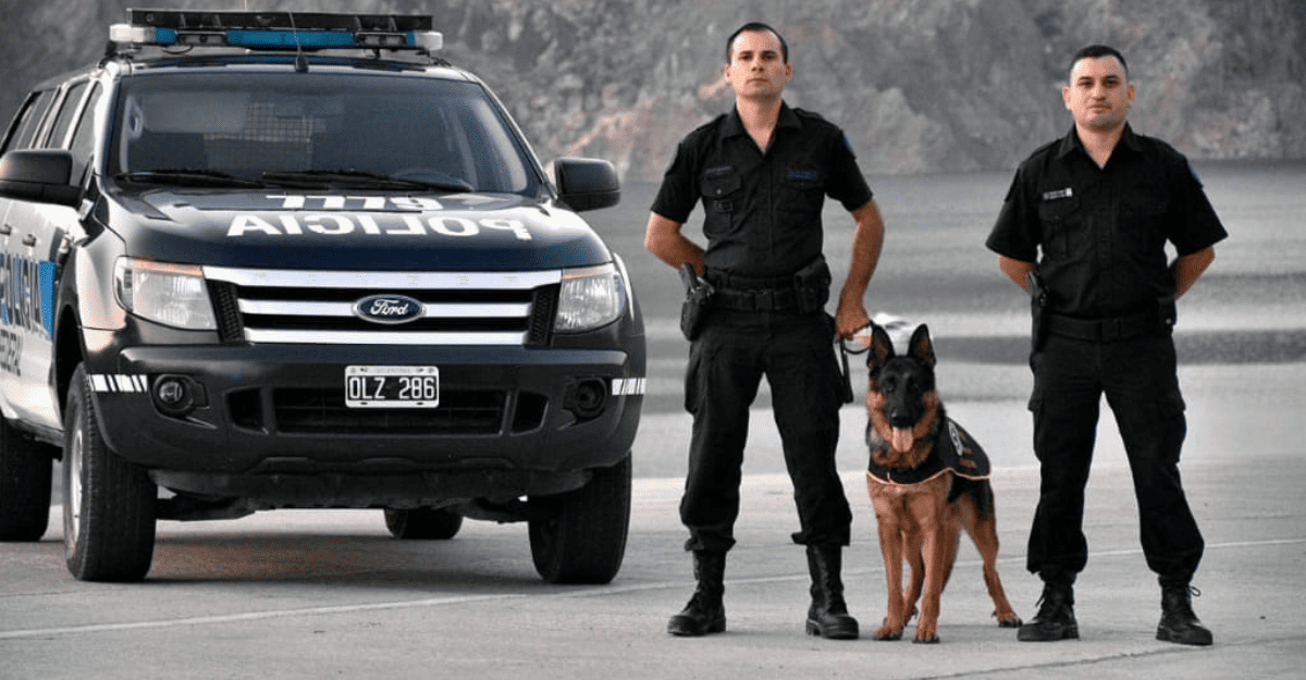 Kuma, el perro heroína de San Juan, se retira tras 9 años y más de 400 kilos de droga detectado Kuma, el perro heroína de San Juan, se retira tras 9 años y más de 400 kilos de droga detectado