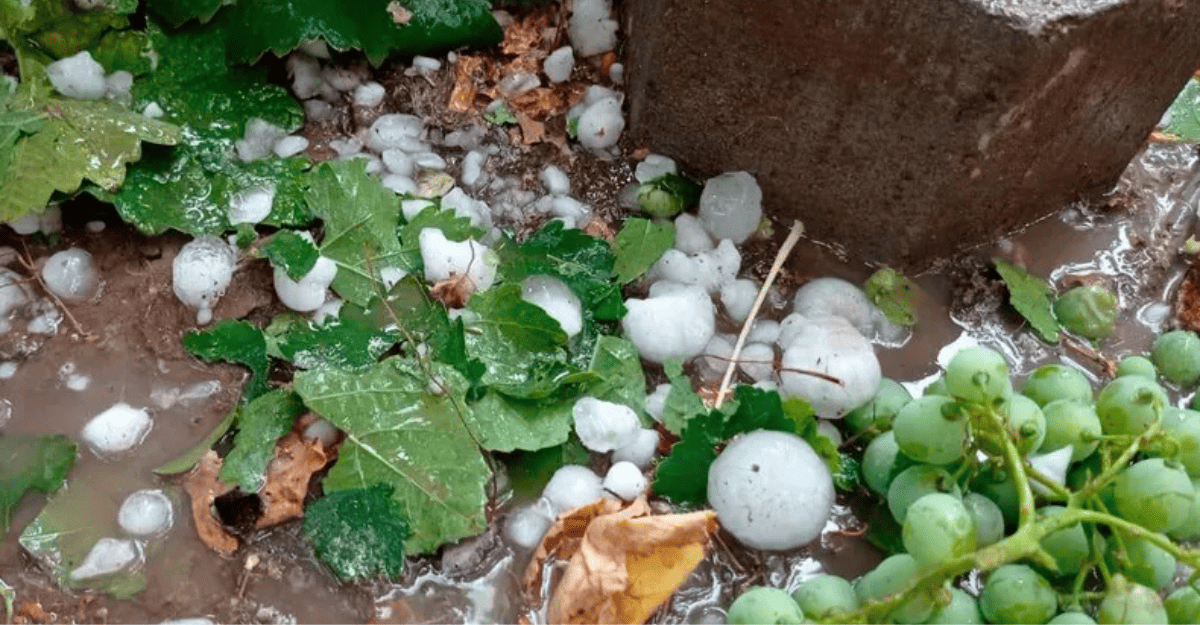 Prevén granizo, lluvias intensas y ráfagas violentas en cinco departamentos: rige alerta naranja.