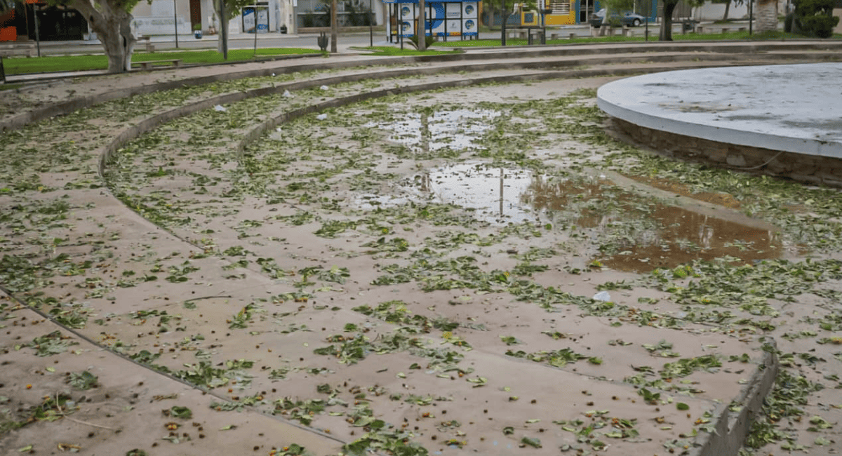 Pocito refuerza la asistencia y el relevamiento en las zonas afectadas por la tormenta