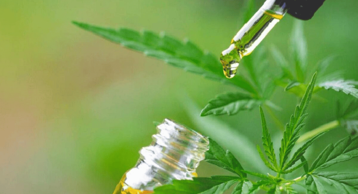 Gonzalo Campos explica la demanda y cobertura del aceite de cannabis medicinal. Gonzalo Campos explica la demanda y cobertura del aceite de cannabis medicinal.