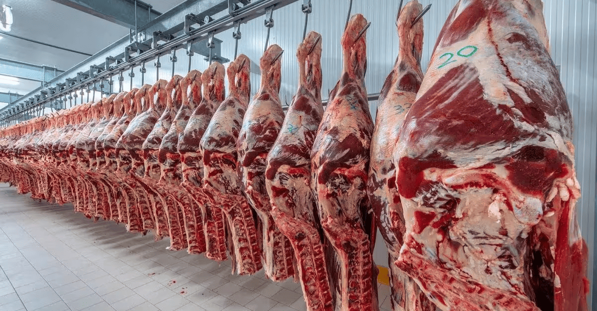 Anticipan una nueva suba en el precio de la carne en San Juan Anticipan una nueva suba en el precio de la carne en San Juan