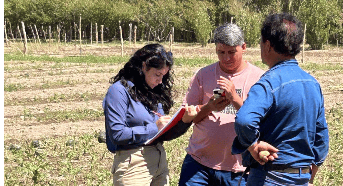 El Gobierno mejora las condiciones de las líneas de ayuda por la Contingencia Climática El Gobierno mejora las condiciones de las líneas de ayuda por la Contingencia Climática