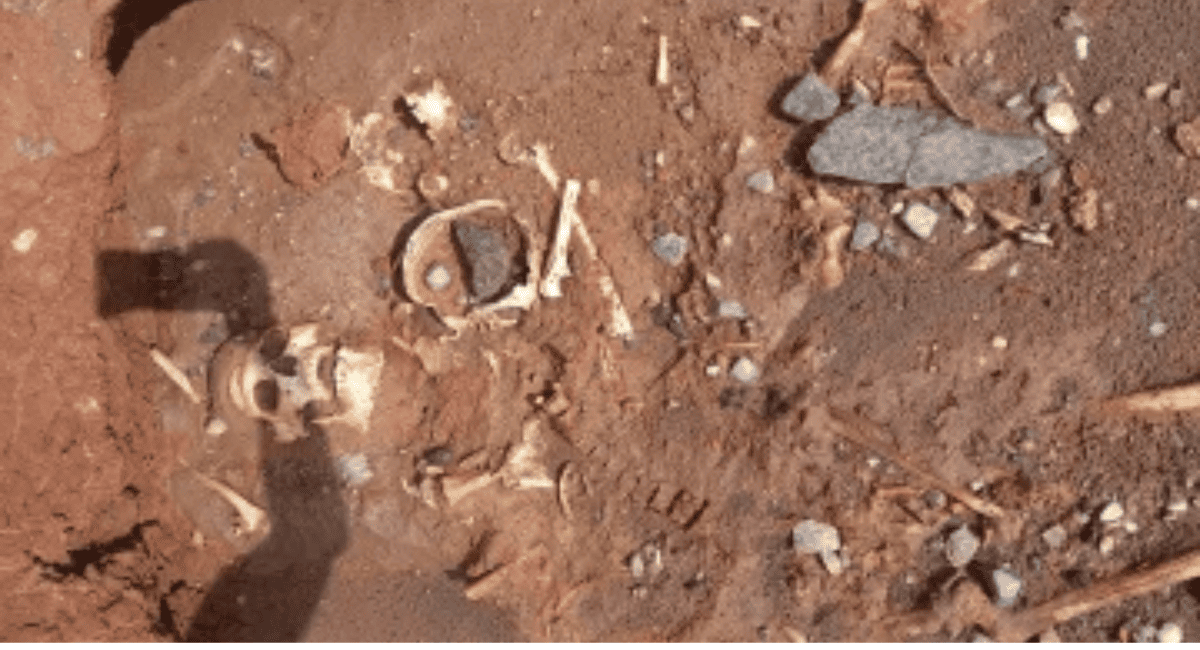 Restos óseos en Marayes: investigan si pertenecen a un esqueleto humano.