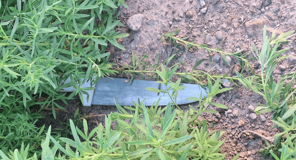 Pelea familiar en Rivadavia: un detenido por herir a su cuñado con un cuchillo. Pelea familiar en Rivadavia: un detenido por herir a su cuñado con un cuchillo.