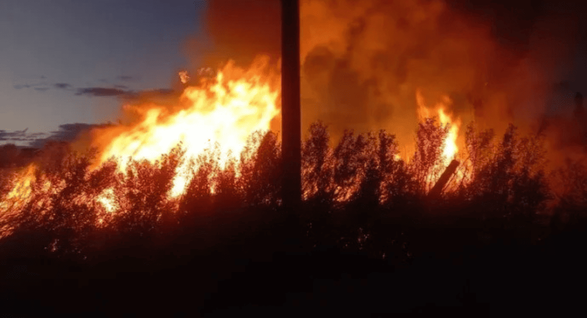 Incendio de pastizales generó alarma en Albardón. Incendio de pastizales generó alarma en Albardón.