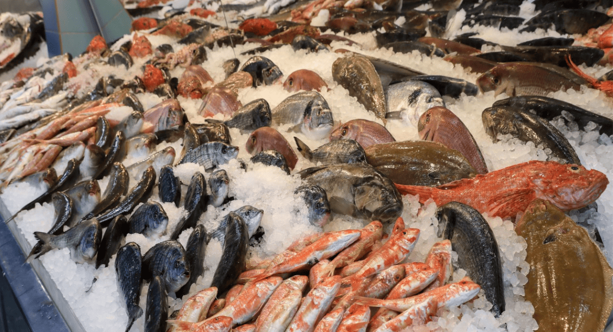 Salud refuerza controles y da claves para elegir pescado fresco en Semana Santa. Salud refuerza controles y da claves para elegir pescado fresco en Semana Santa.