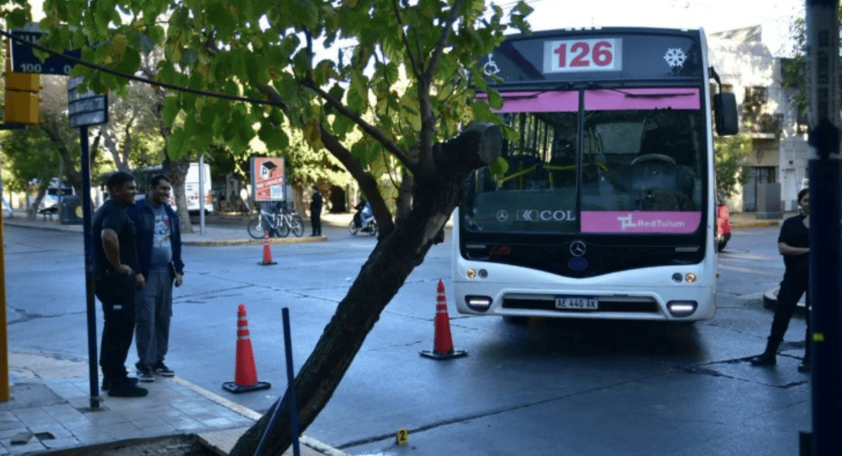 La justicia imputó al chofer del colectivo por la muerte de la jubilada atropellada en Libertador y Jujuy.