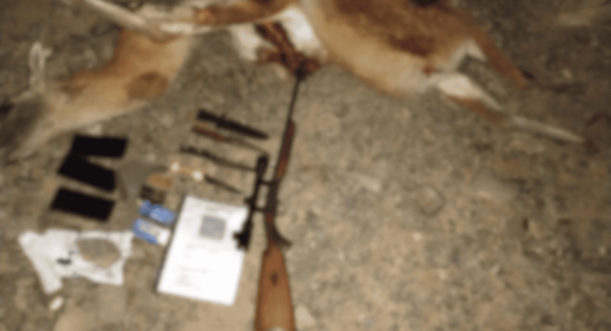 Ullum: tres detenidos por caza furtiva; llevaban guanacos faenados y un arma ilegal.