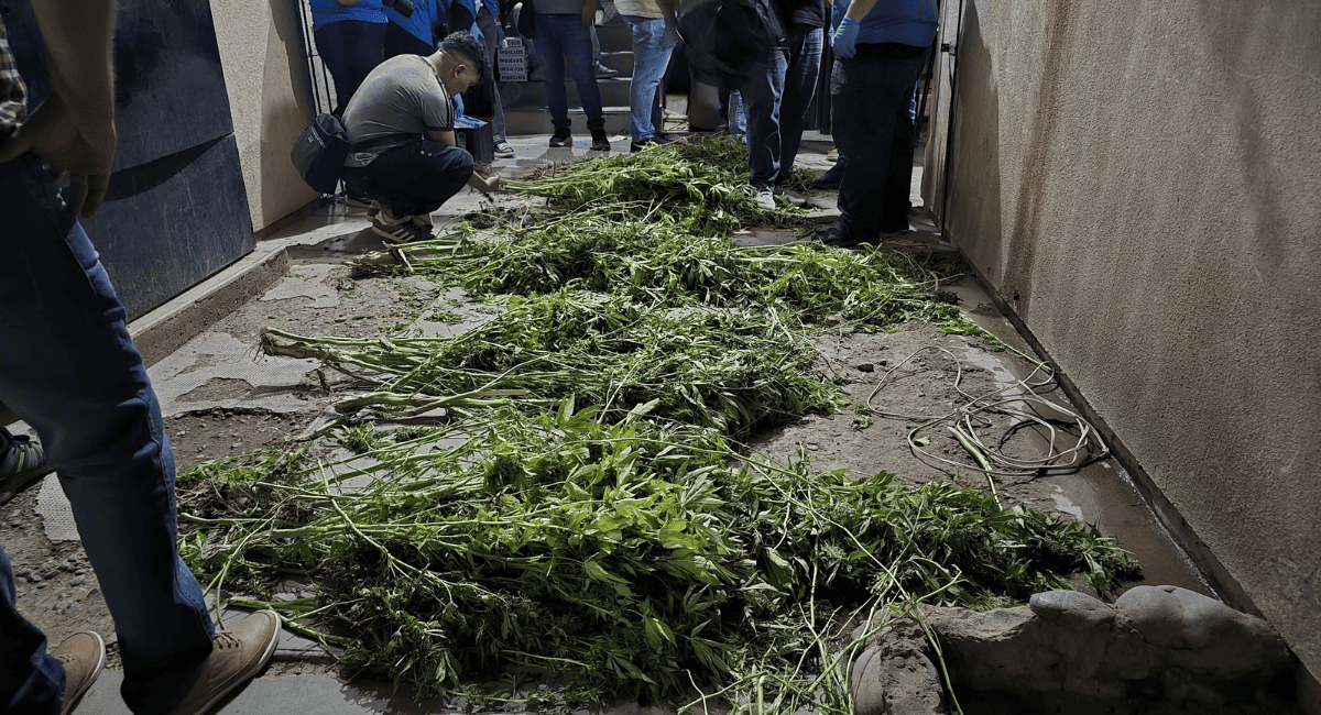 Confesión inesperada en el Caso Falsos Policías: acusado dijo que la droga era suya Confesión inesperada en el Caso Falsos Policías: acusado dijo que la droga era suya