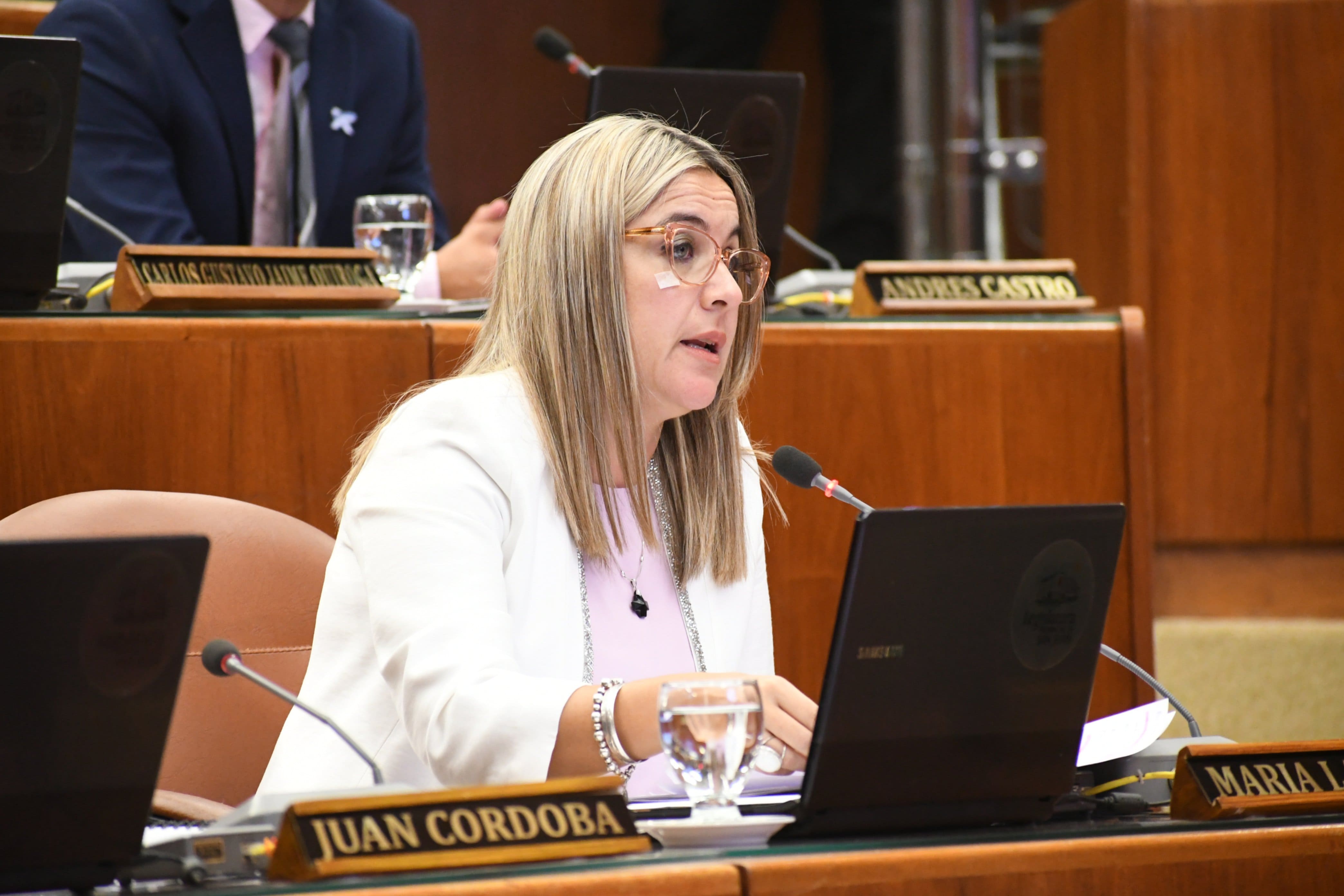 Revés para La Rioja: la Justicia avaló Vicuña y Diputados debatirá una declaración de repudio