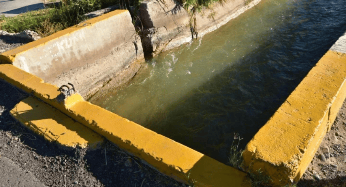 Identifican a la mujer encontrada sin vida en el canal Benavídez Identifican a la mujer encontrada sin vida en el canal Benavídez