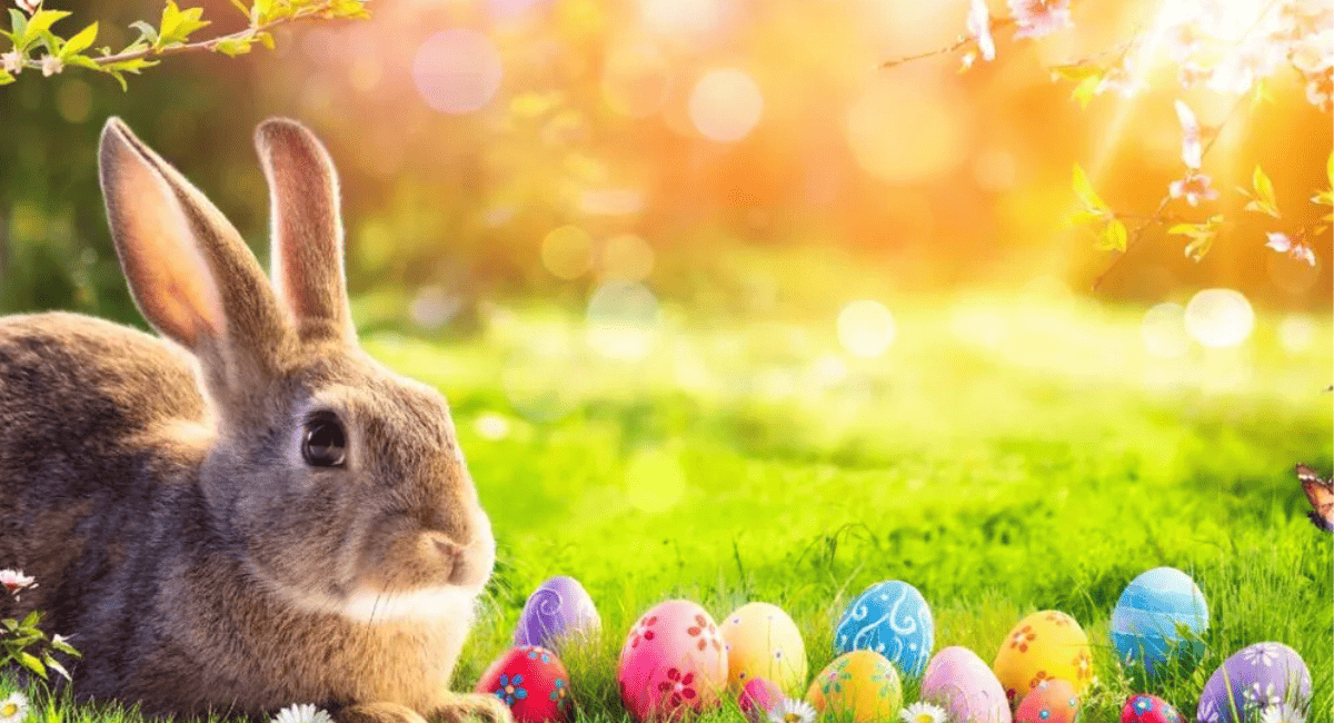 Pascua: la historia detrás de los huevos, conejos y rituales actuales.