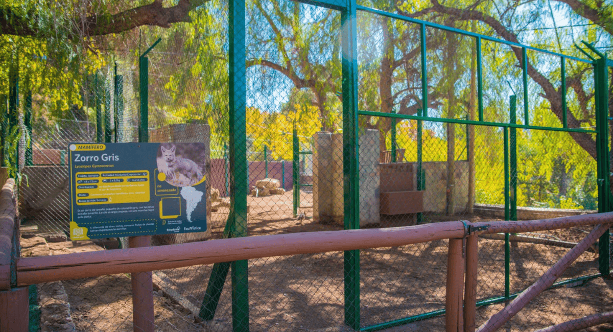 Miodowsky inauguró mejoras clave en el Faunístico en el Día del Animal. Miodowsky inauguró mejoras clave en el Faunístico en el Día del Animal.