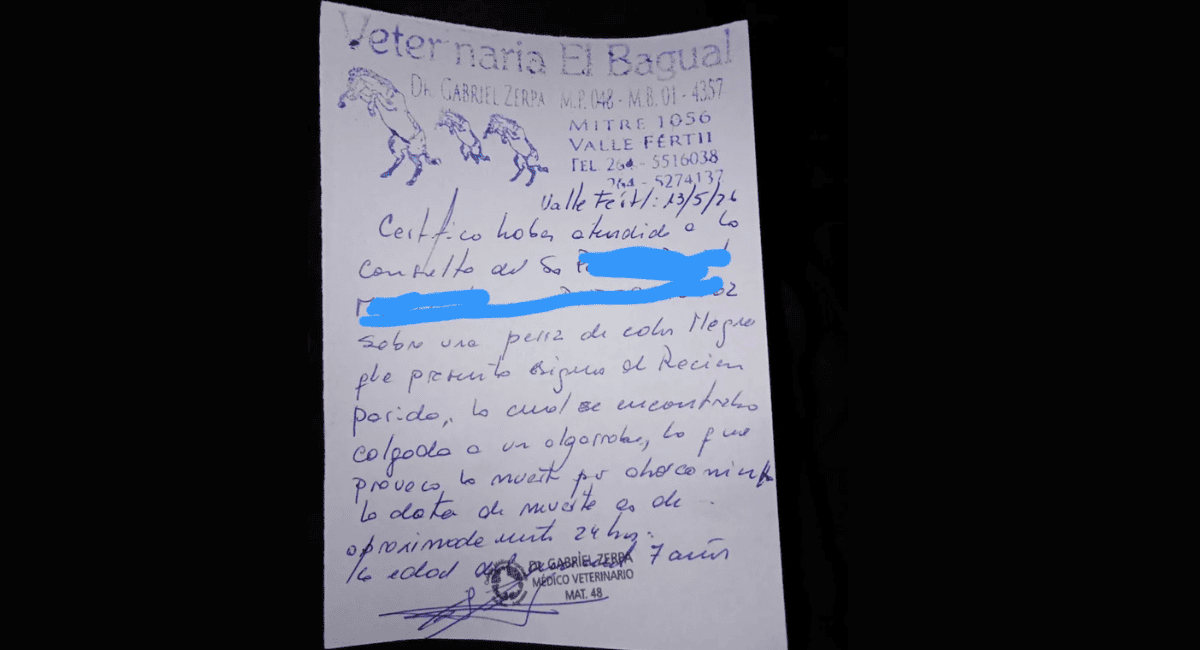 Horror en Valle Fértil: denuncian que un hombre ahorcó a una perra recién parida
