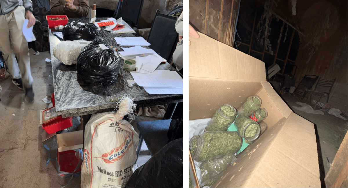 Secuestran armas, drogas y animales silvestres en dos allanamientos en Pocito. Secuestran armas, drogas y animales silvestres en dos allanamientos en Pocito.