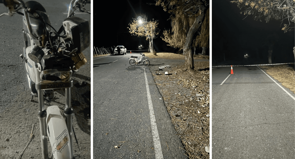 Fatal accidente en Angaco: motociclista de 27 años perdió la vida tras impactar contra un árbol