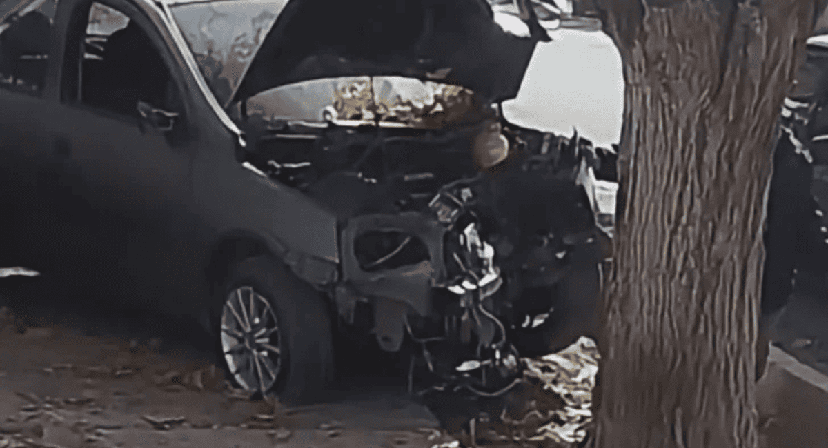 Caucete:Un joven perdió el control de su auto y chocó contra un árbol