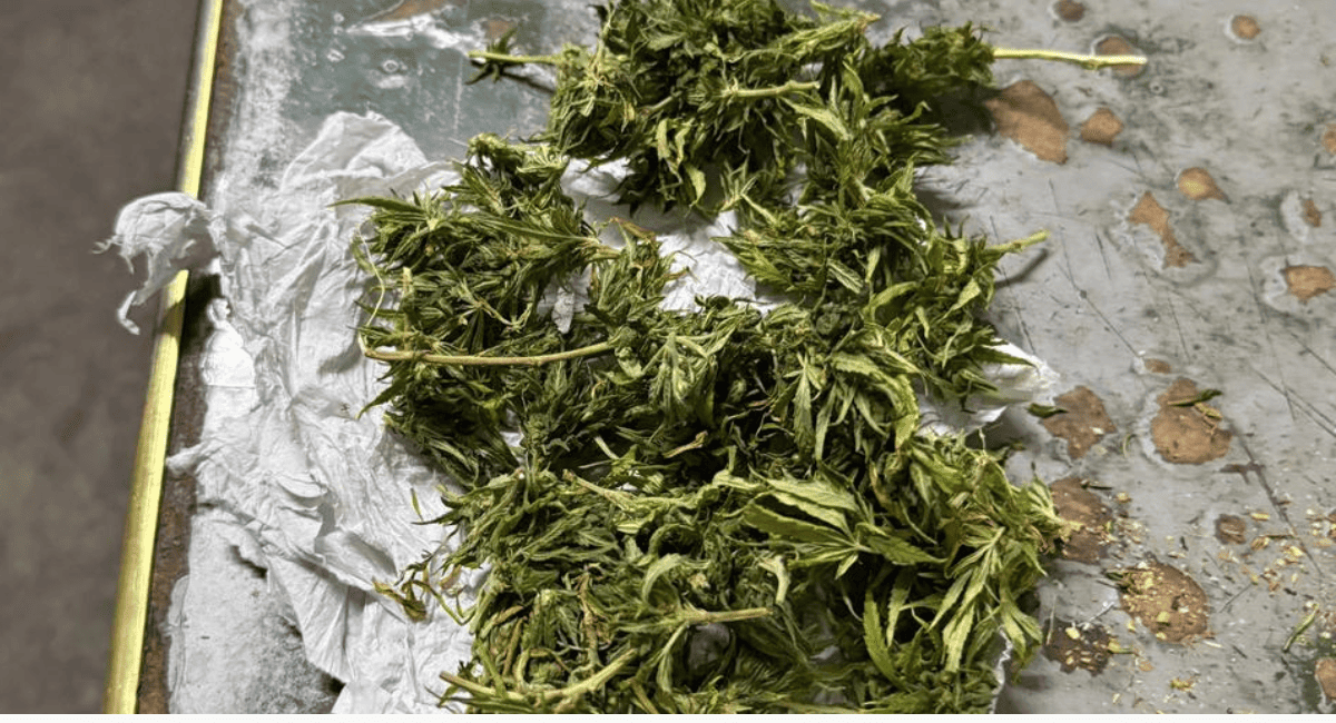 Capital: detienen a dos hombres por disturbios; uno llevaba marihuana y registraba tres capturas pendientes Capital: detienen a dos hombres por disturbios; uno llevaba marihuana y registraba tres capturas pendientes