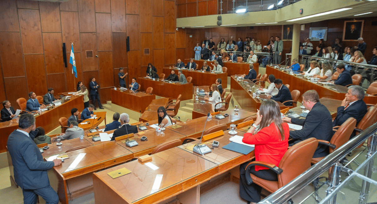 La Cámara de Diputados sesiona este jueves con una amplia agenda. 🔴Mirá todo en vivo