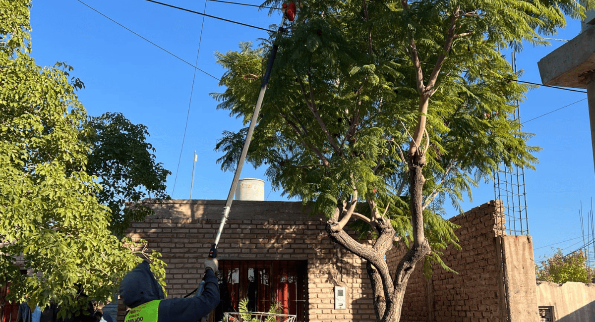 Rivadavia activó la campaña previa a la poda