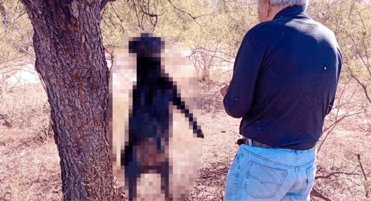 Horror en Valle Fértil: denuncian que un hombre ahorcó a una perra recién parida