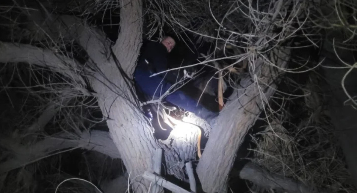 Terror en Las Chacritas: aseguran que un «pájaro negro» se llevó volando a un perro. VIDEO Terror en Las Chacritas: aseguran que un «pájaro negro» se llevó volando a un perro. VIDEO