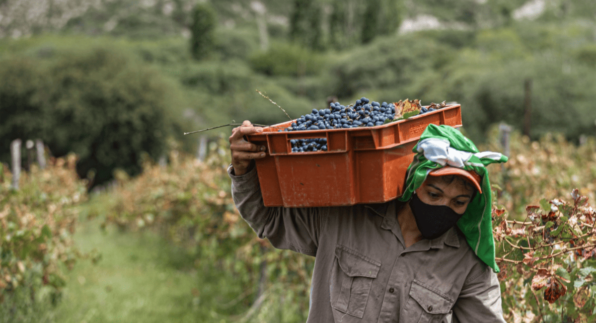 San Juan lanzó créditos agrícolas con tasas del 13,2% anual en Punto Pyme