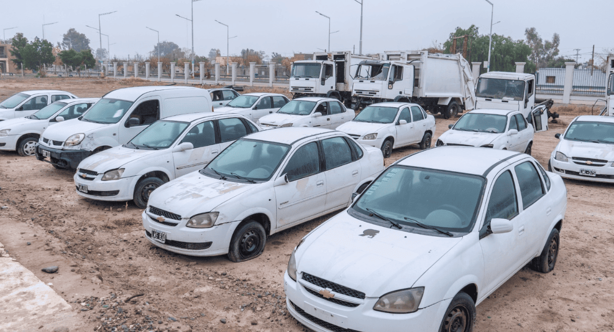 Segunda subasta municipal en Rawson: rematarán 19 vehículos oficiales Segunda subasta municipal en Rawson: rematarán 19 vehículos oficiales