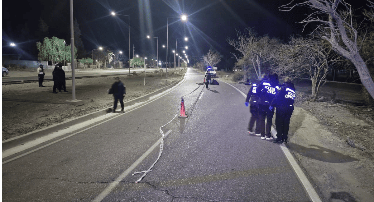 Un motociclista murió tras chocar contra un árbol en Avenida Ignacio de la Roza