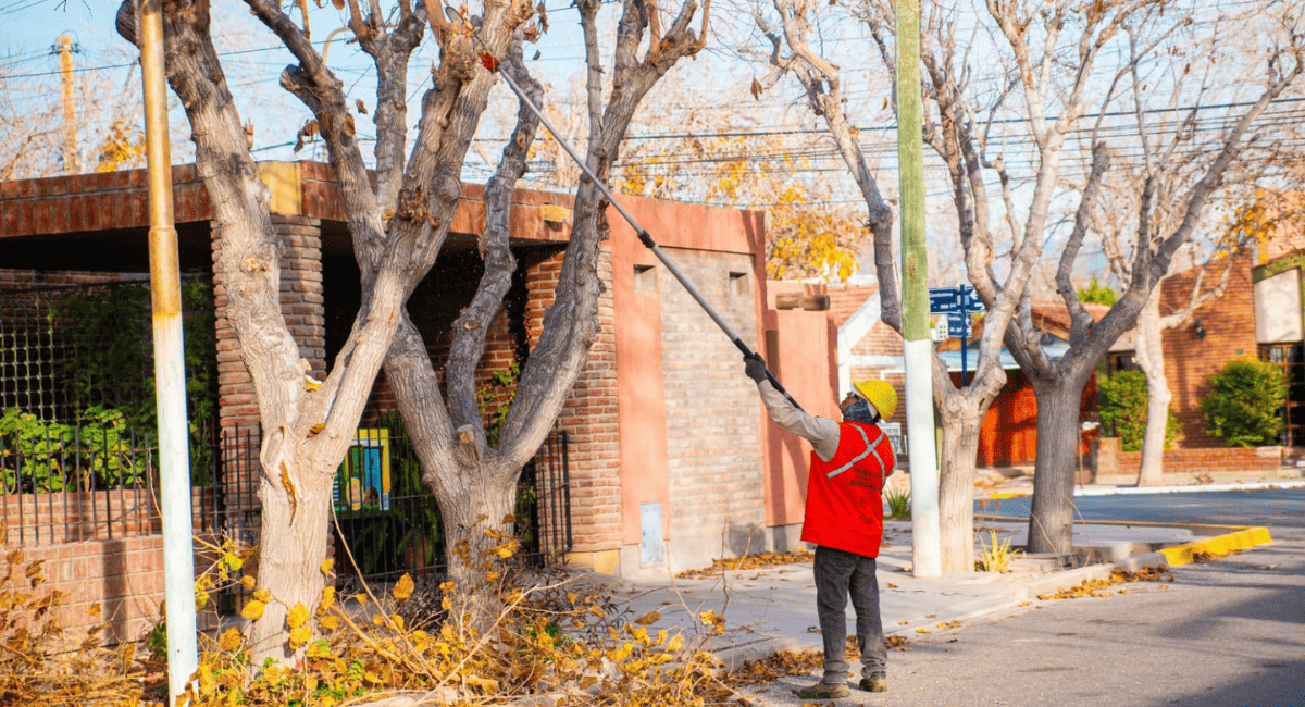 Rivadavia despliega un megaoperativo técnico de poda urbana para proteger 11.000 árboles