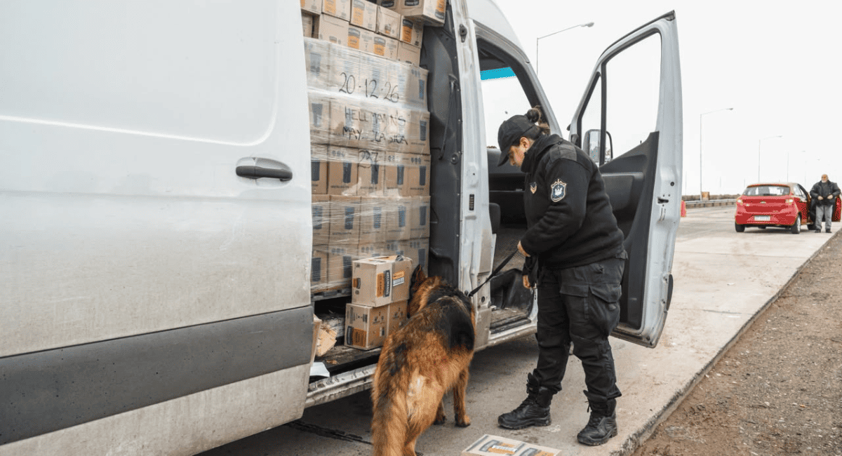 San Juan y Mendoza desplegaron un operativo conjunto en el Control San Carlos