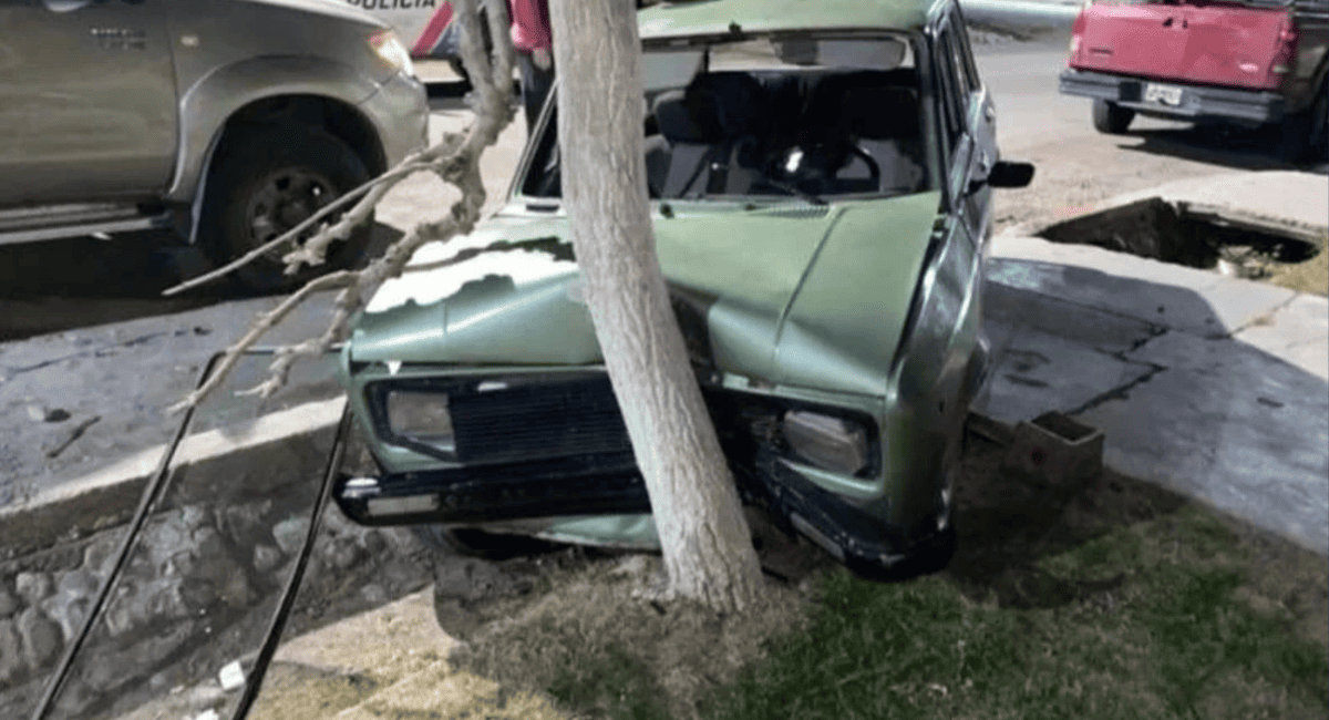 Albardón: manejaba con 2,04 de alcohol, chocó contra un árbol e intentó huir