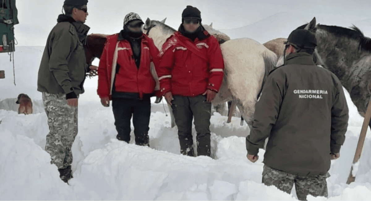 Gendarmería rescató a dos puesteros aislados por la nieve en Iglesia
