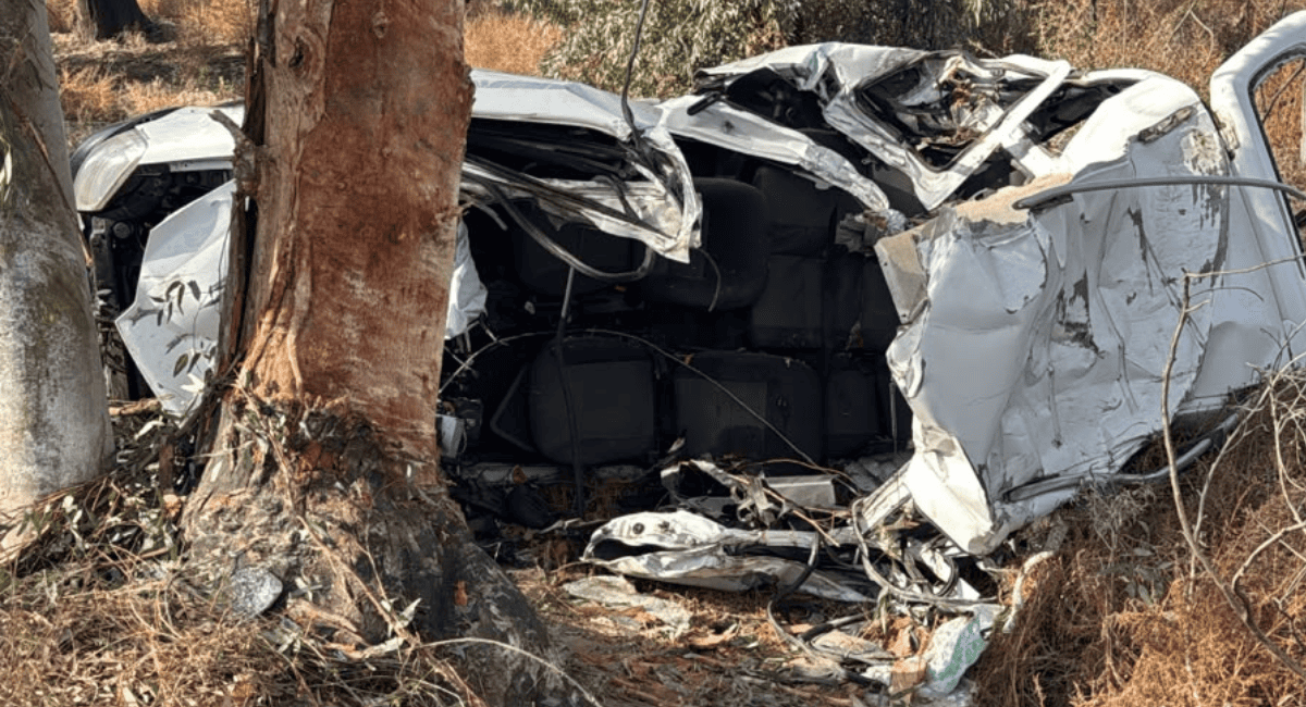 Tragedia en la Ruta 20: Identificaron a los dos jóvenes que murieron tras chocar contra un árbol y volcar en Caucete