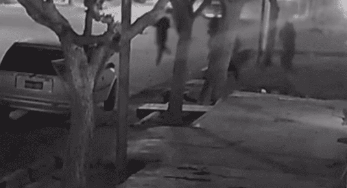 Atacaron a balazos una vivienda en Chimbas y dejaron una bomba molotov Atacaron a balazos una vivienda en Chimbas y dejaron una bomba molotov