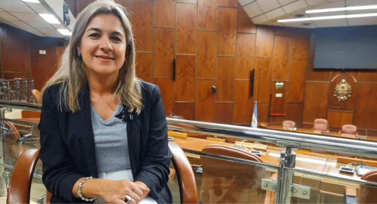 Vicuña, rutas y obra pública: Diputada María Rita Lascano explicó qué deberá tratar la Legislatura